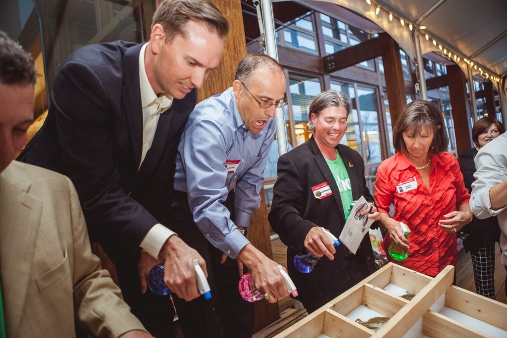 crab derby contestants racing