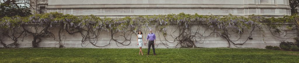 Panoramic image of an engaged couple in front of a wall of flowers in DC.