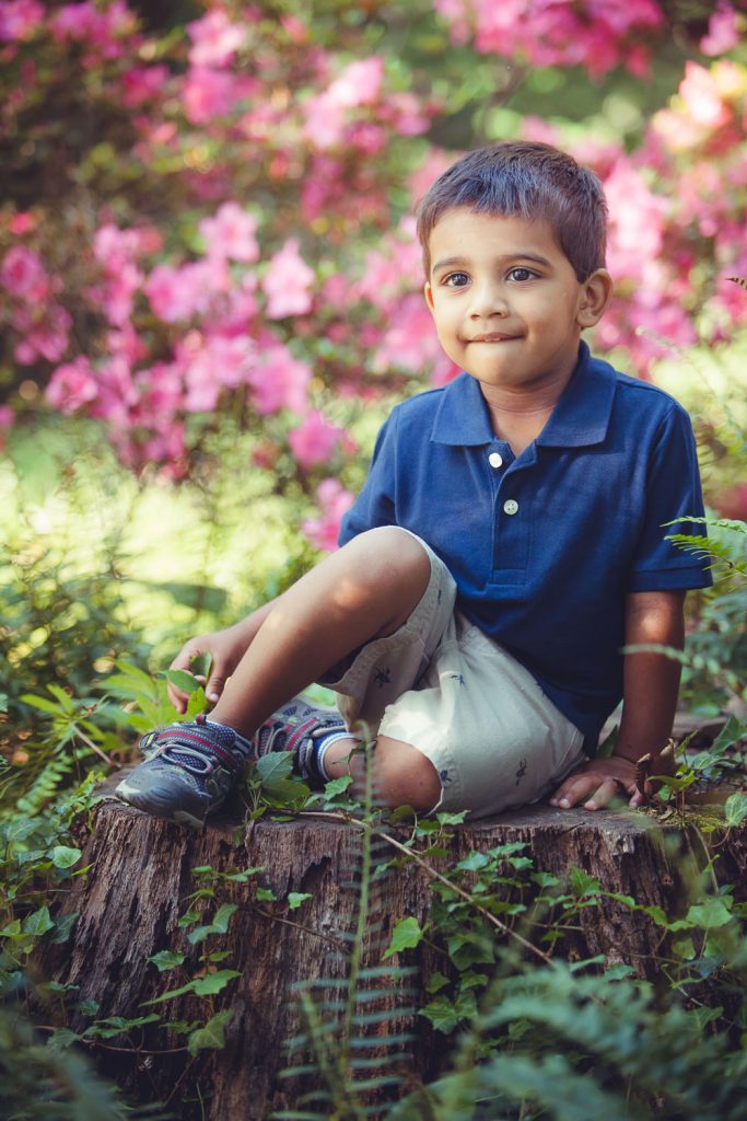 mccrillis gardens maryland family reunion portraits petruzzo photography 10