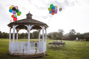 Petruzzo Photography Harry Potter Elopement 11