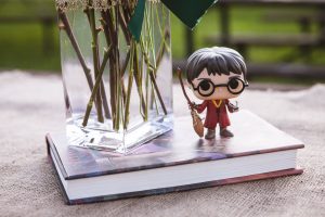 Petruzzo Photography Harry Potter Elopement 13