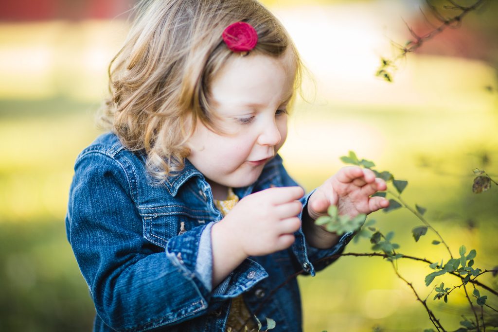 A Colorful Two Part Autumn Family Session from Felipe 18