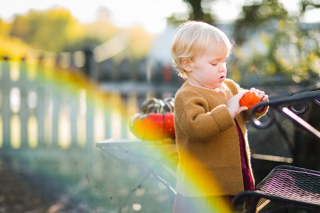 A Colorful Two Part Autumn Family Session from Felipe 22