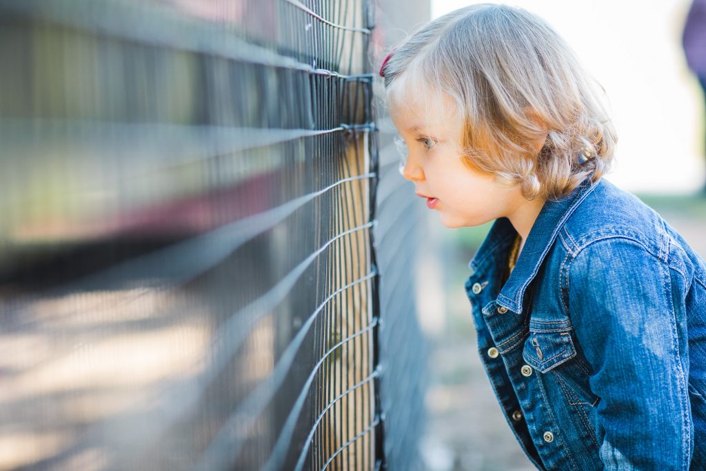 A Colorful Two Part Autumn Family Session from Felipe 26