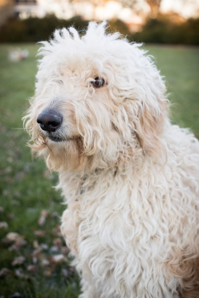 Felipe Returns to the Glenview Mansion for a Catch Up Session With This Beautiful Family 25