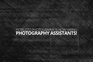 We are hiring photography assistants