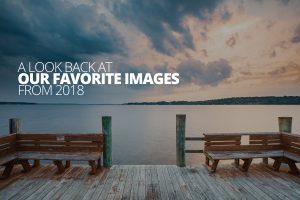 Favorites from 2018 by Petruzzo Photography cover