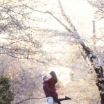 Newlywed Portrait Session Under Cherry Blossoms Kenwood Maryland 13