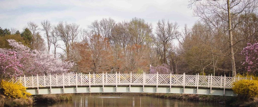 A white bridge at Quiet Waters Park with trees and autumn leaves in the background.