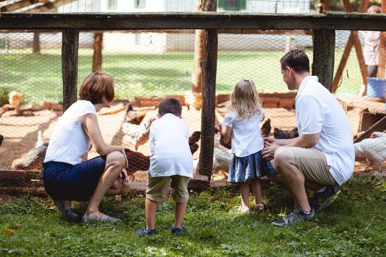 A family is petting chickens at Agricultural History Farm Park in Derwood, Maryland.