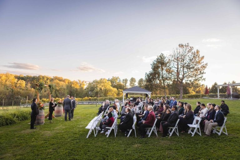 A vineyard wedding ceremony at Barns at Hamilton Station in Virginia.