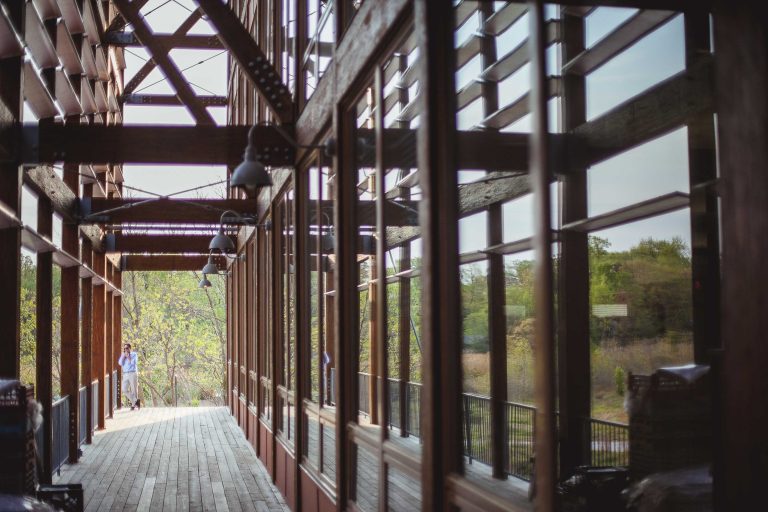 A wooden walkway in Maryland with a view of a wooded area.