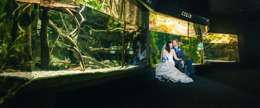 A bride and groom are posing in front of the National Aquarium.