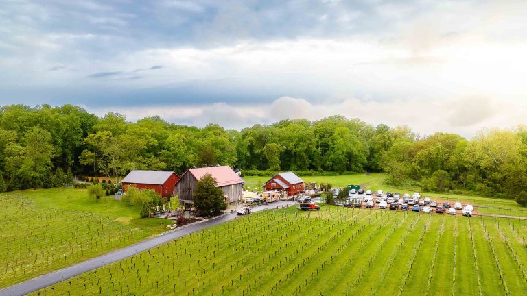 An aerial view of the Great Frogs vineyard in Annapolis, Maryland.