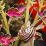 A detailed wedding ring accompanies a plant.