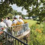 A wedding party standing on a railing overlooking a garden.