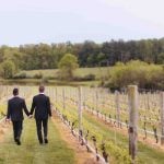 Two men in suits walking through a vineyard during a wedding.