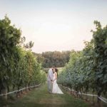 A wedding portrait of a bride and groom in a vineyard.