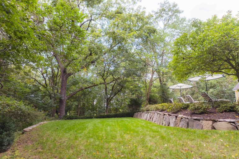 A grassy yard with trees and bushes perfect for a Wedding Venue.