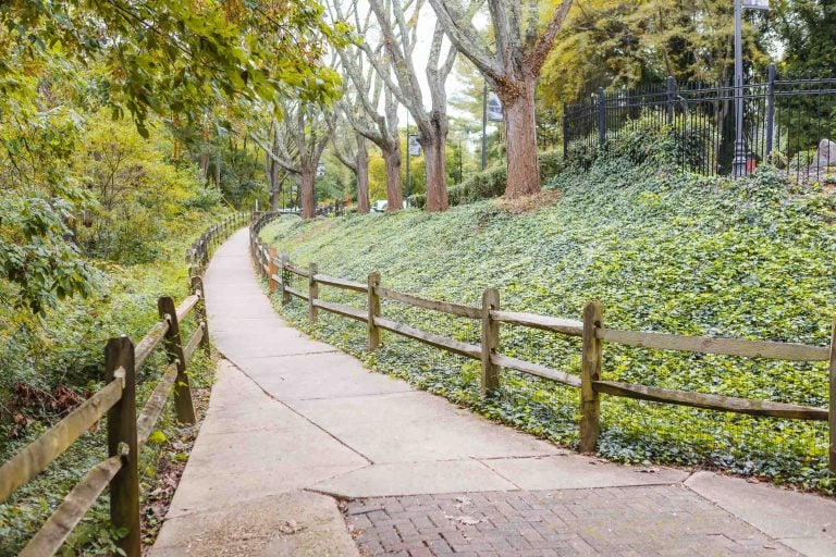 A pathway leading to a park with trees and bushes, perfect for a wedding with serene natural details.