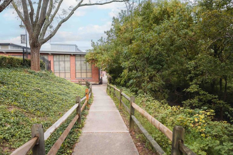 A picturesque pathway leading to the stunning Savage Mill, adorned with lush trees and vibrant bushes.