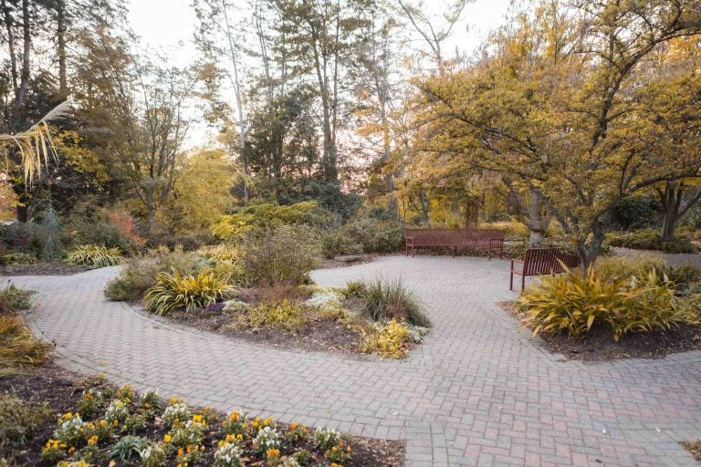 A brick walkway in Green Spring Gardens park adorned with trees and flowers in Alexandria, Virginia.