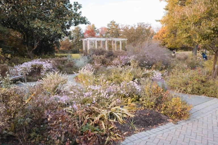 Green Spring Gardens, located in Alexandria, Virginia, features a garden in the middle of a park surrounded by trees and shrubs.