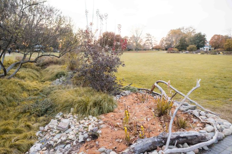 A garden with rocks and grass in the background located in Green Spring Gardens, Virginia.