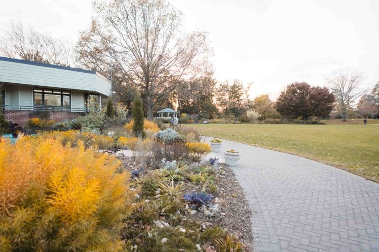 A pathway leading to Green Spring Gardens with yellow flowers and shrubs.