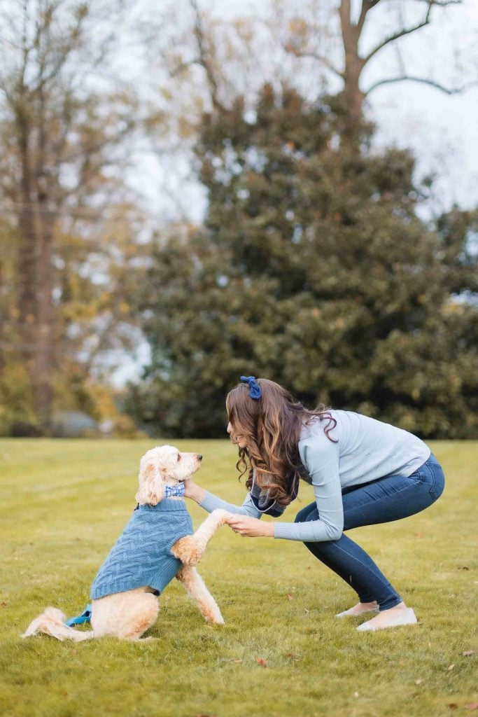 A woman wearing a light blue sweater and jeans squats on the grass, holding the paw of a dog dressed in a blue sweater. They are outdoors with trees in the background, capturing a heartwarming portrait during their minisession at Belair Mansion.