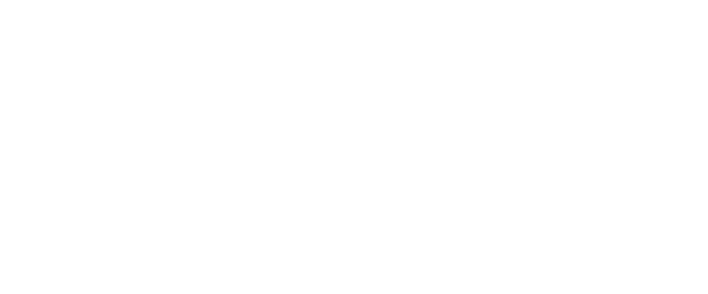 An all white logo for Petruzzo Photography which features thin cursive writing that says "Petruzzo" above the word "Photography" in a thin sans serif font.