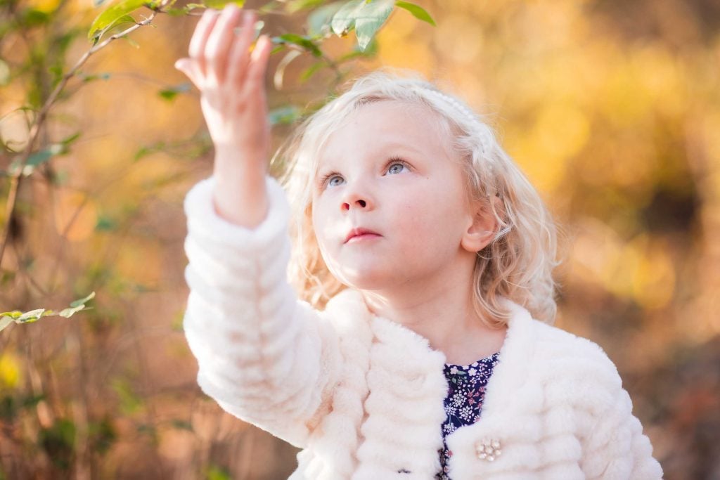 A young child in a white coat reaching up to touch a leaf, with a blurred autumn background as part of a family portrait session.