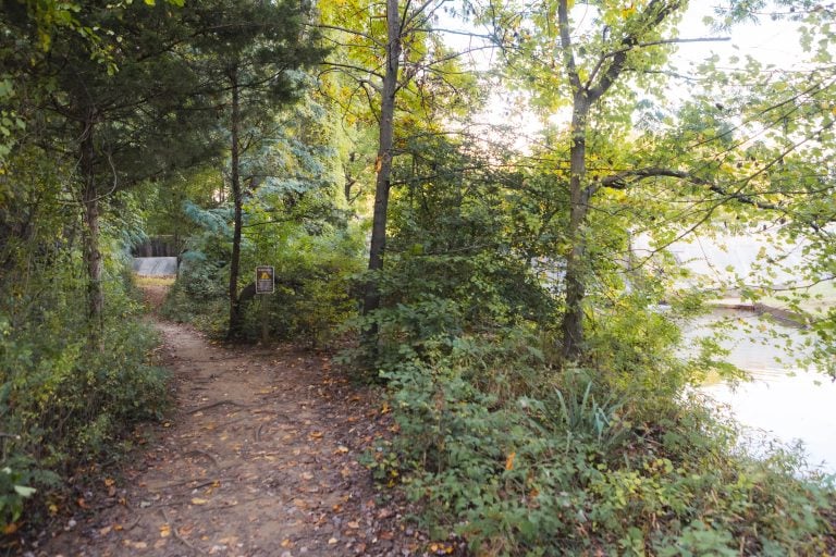 A forest path lined with dense green foliage leads towards a clearing in Annapolis Waterworks Park. Sunlight filters through the trees, illuminating parts of the trail where a small sign stands visible along the path.