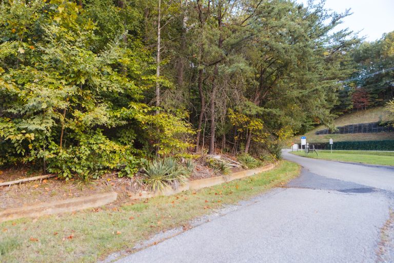 A narrow paved road curves past dense green trees on the left, with a slight incline on the right, under a clear sky at Annapolis Waterworks Park.