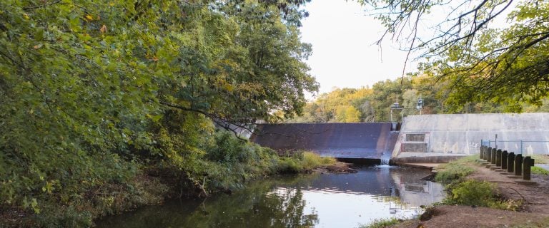 Nestled in Annapolis Waterworks Park, a dam stands surrounded by lush green trees, while a calm river meanders beneath the clear sky.