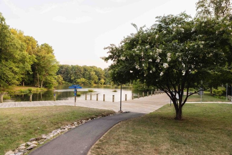 A paved path leads to a boardwalk beside the calm waters of Lake Elkhorn, with a flowering tree and lush greenery enveloping the serene area.