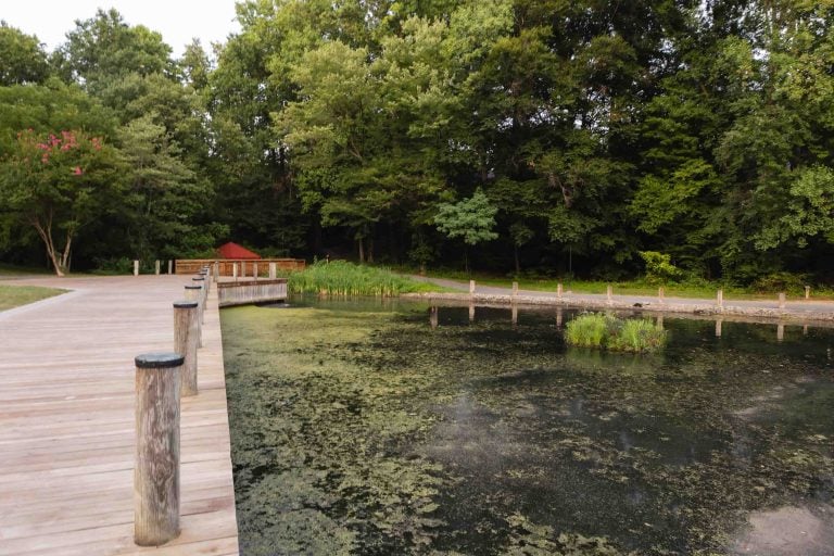 A boardwalk leads to a small red hut by Lake Elkhorn, surrounded by trees. Algae covers part of the pond's surface.