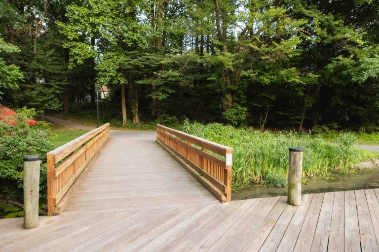 A wooden bridge and path weave through the lush forested area near Lake Elkhorn, creating a serene escape into nature.