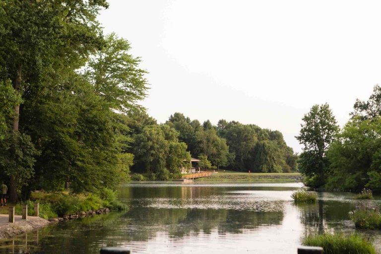 Under the expansive blue sky, Lake Elkhorn stretches serenely, cradled by lush green trees. A charming wooden house sits nestled on its shoreline, offering a perfect retreat amid nature's tranquil embrace.